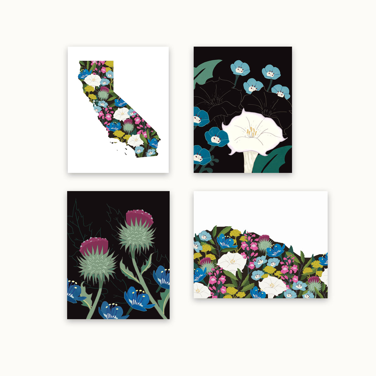Set of four botanical notecards featuring California native wildflowers, including thistles, phacelia, and datura.