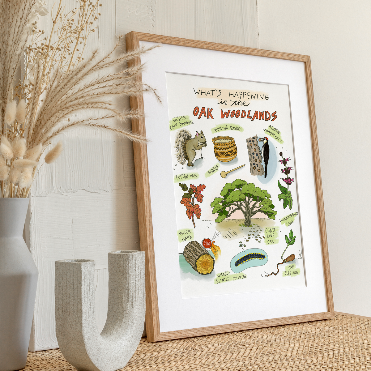 Oak Woodlands Art Print with labeled illustrations of California’s native plants and animals, perfect for home or classroom decor.