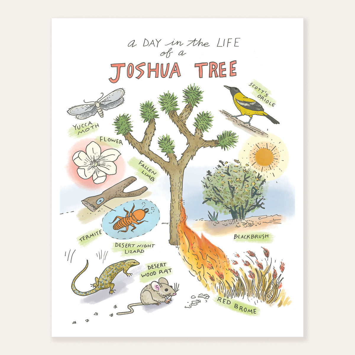 Close-up of the Joshua Tree Art Print showing detailed botanical illustrations of the desert environment.