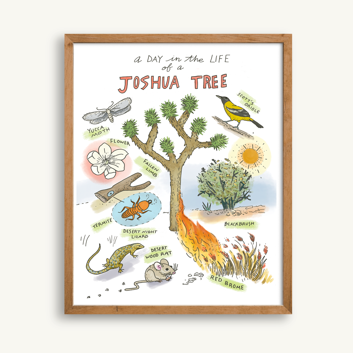 front view of the Joshua Tree Art Print featuring illustrations of the tree, wildlife, and flora in the desert ecosystem