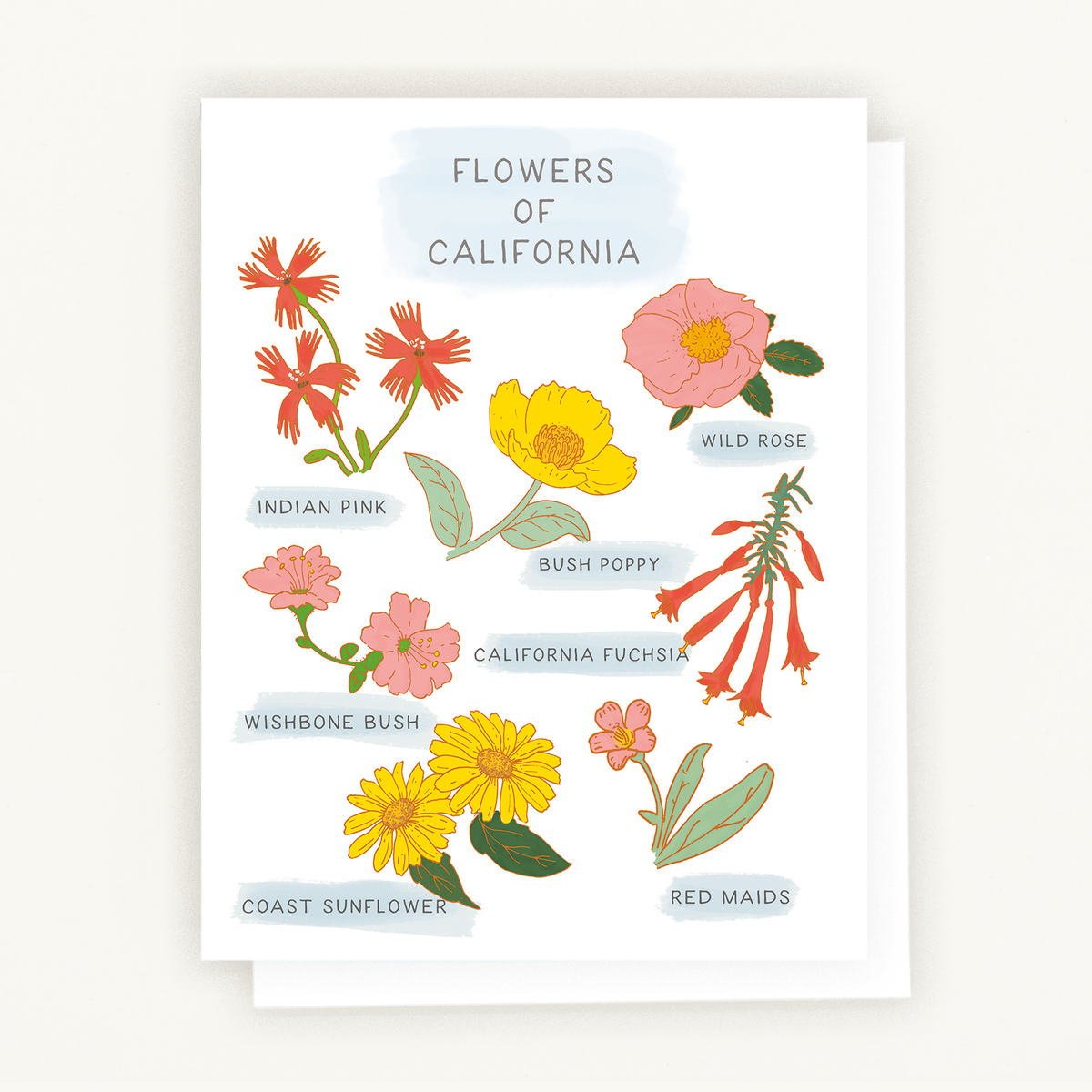 Flowers of California Notecard featuring a vibrant botanical illustration of California native flowers on a soft background.