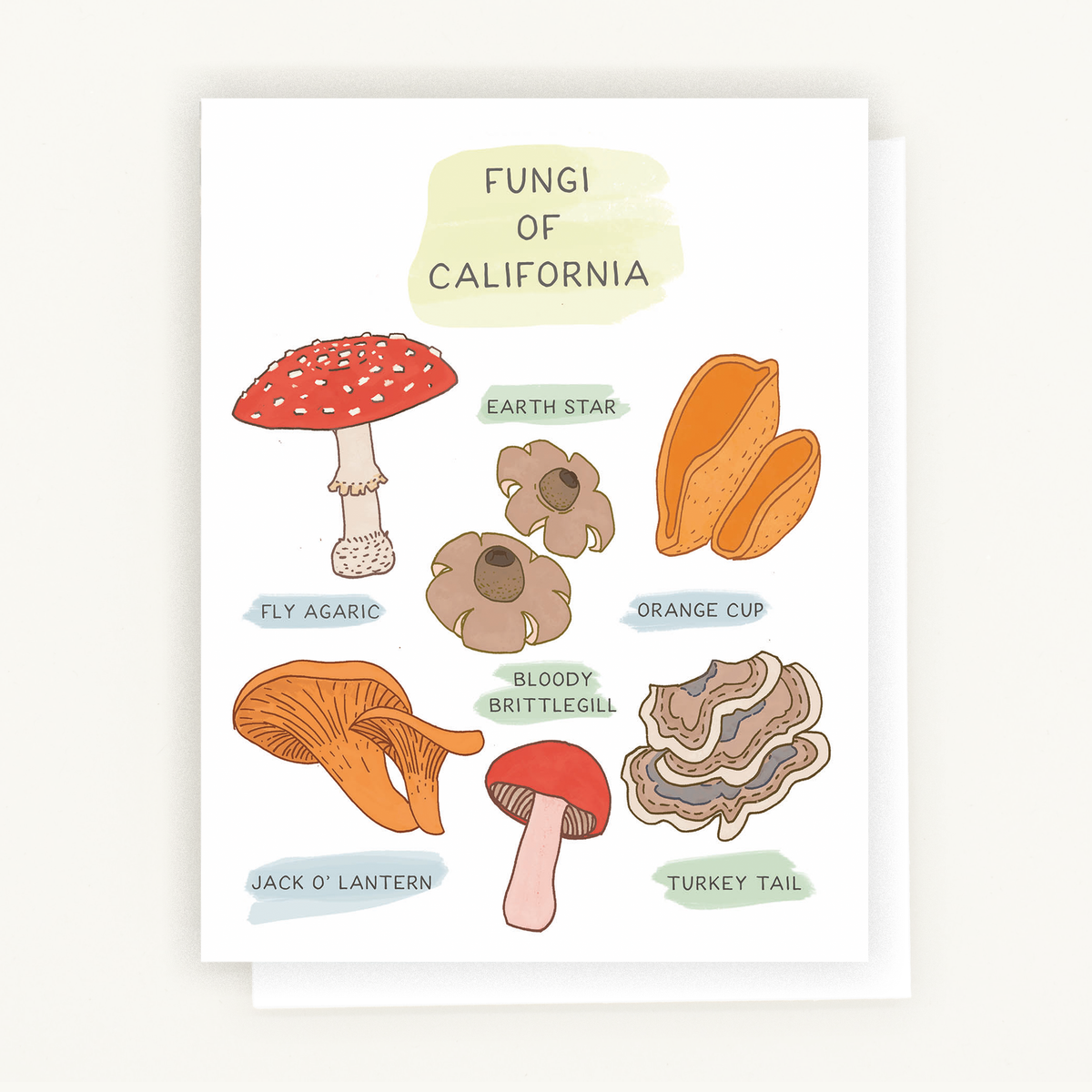 Sustainable stationery with colorful botanical art of mushrooms