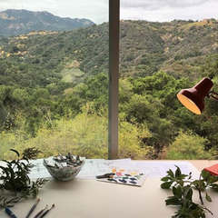 view of california open space from lesley goren's studio