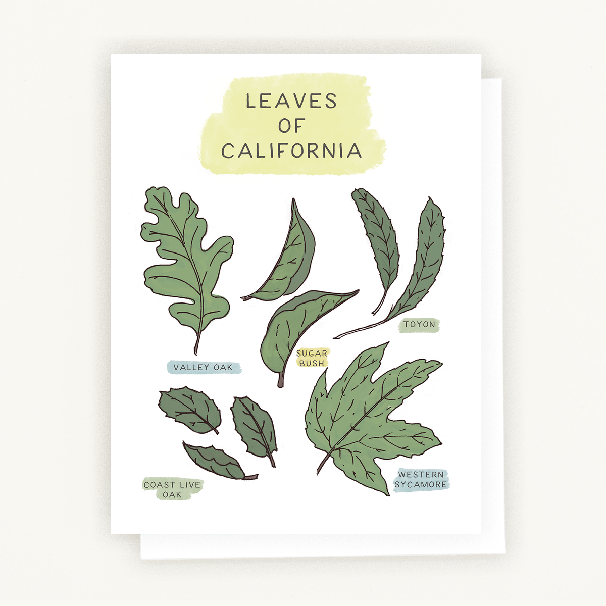 Leaves of California Notecard